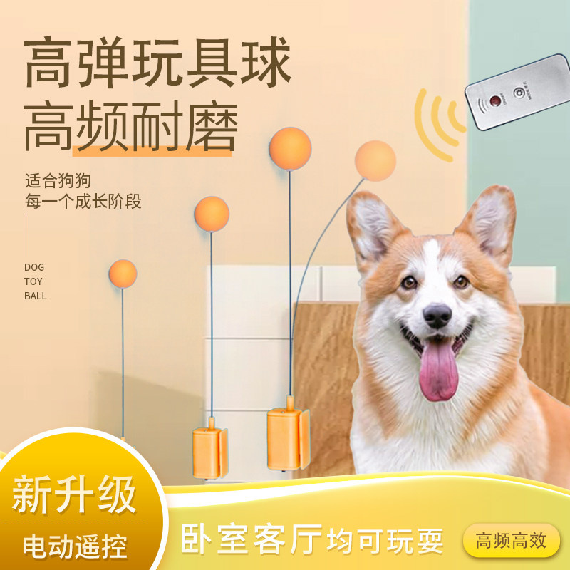 狗狗玩具球电动遥控高弹耐磨幼犬期促进互动乒乓球训练器充电高弹