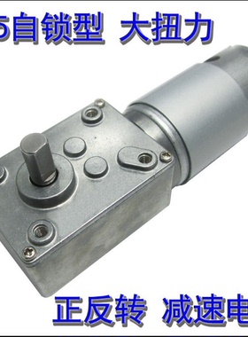 厂家直销 涡轮蜗杆减速电机 马达 WGM-550/555 12V5.5转  PK同行