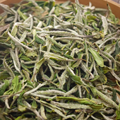 2025年福建福鼎白茶白牡丹散茶 头春春茶高山日晒白茶250克纸盒装