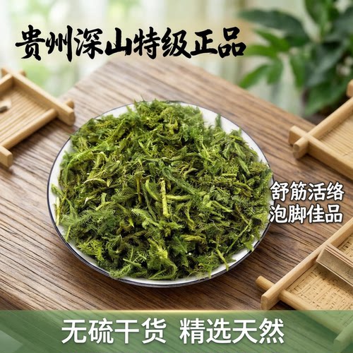 贵州深山伸筋草中药材舒筋草 生筋草 申筋草泡脚特级正品无硫干货