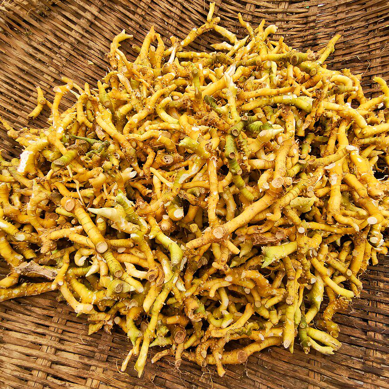 精选玉竹根500g新鲜晒干无硫贵州大山小白鸡葳蕤尾参条特级中药材