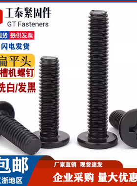 黑色SUS304不锈钢十字扁平头螺丝钉薄头大平头CM电脑M1.6M2M3M4M6