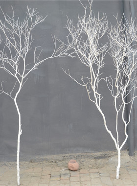 干树枝干枝干树枯树装饰白色树摆件树杆仿真树枝假树枝道具装饰树