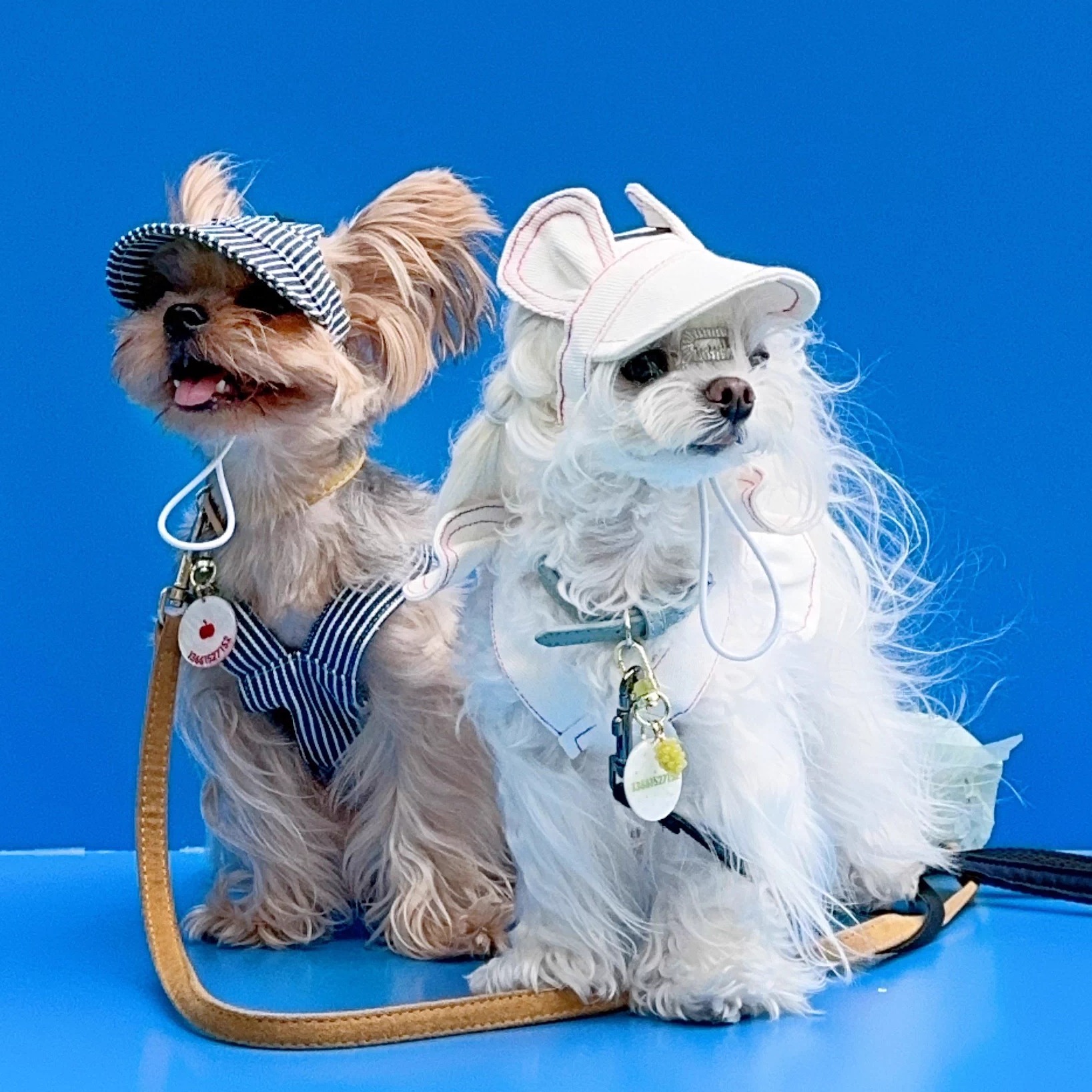 宅日梦乐宠物猫咪狗狗帽子定制