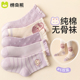 女童袜子春夏儿童2026新款 透气网眼袜 纯棉夏天大童小孩女宝宝夏季