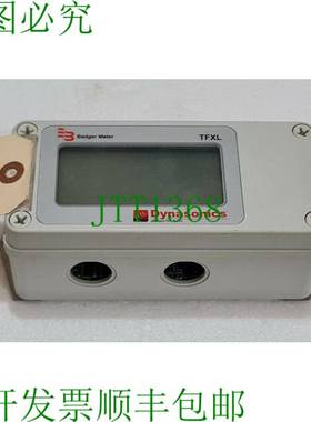 Badger Meter Dynasonics DTFXL2-XA1-NN Tfxl 时间 探针