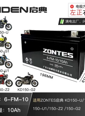 原厂升仕ZT310-X1-X2-T1-T2-R1-R2/启典KD150-U/U1/G1/G2/Z2电瓶