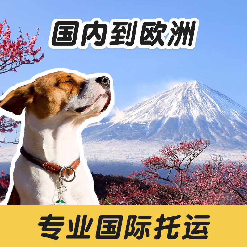 宠物国际托运服务 狗猫咪至欧洲 (大狗可以客舱）出国回国 英国