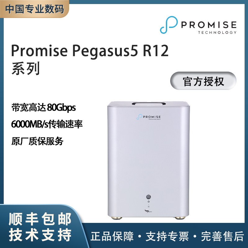 promisePegasusR12雷电5阵列