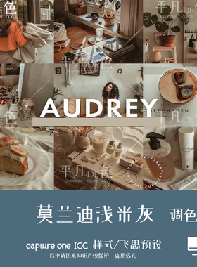 capture one样式莫兰迪浅米灰色人像静物调色C1滤镜飞思预设CO791