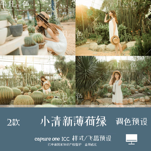 capture one样式 日系复古小清新薄荷绿调色滤镜C1飞思预设CO974