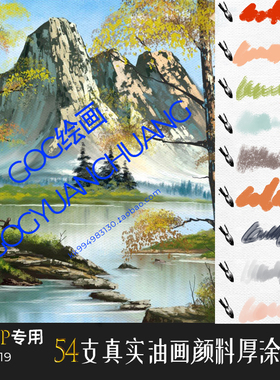 ClipStudioPaint笔刷54支油画颜料厚涂肖像风景抽象风手绘CSP画笔