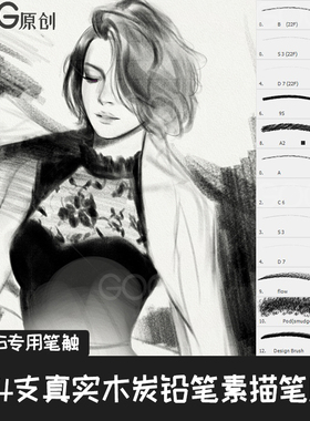 PS笔刷 14支真实木炭铅笔写实素描草图手绘绘画Procreate笔触P506