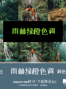 capture one样式 雨林绿橙色系人像旅拍调色滤镜 C1飞思预设CO765
