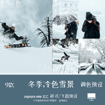 capture one样式 冬天雪景冷色人像运动调色滤镜c1飞思预设CO879