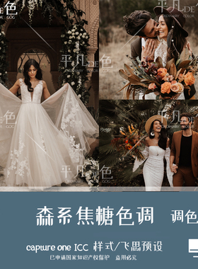 captureone样式森系婚礼人像风光焦糖色调色滤镜c1飞思预设CO917