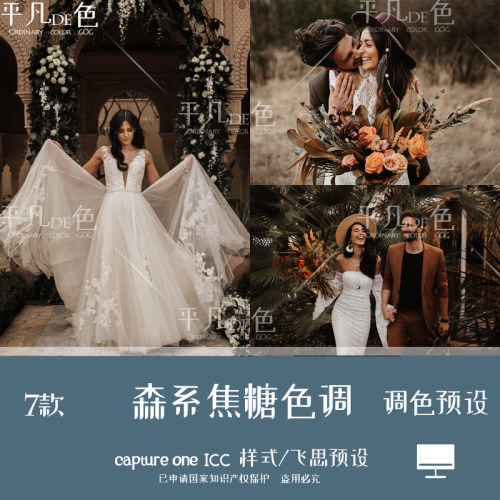 captureone样式森系婚礼人像风光焦糖色调色滤镜c1飞思预设CO917