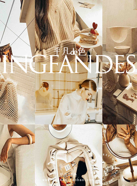 capture one样式韩式香槟色人像旅行街拍调色滤镜c1飞思预设CO606