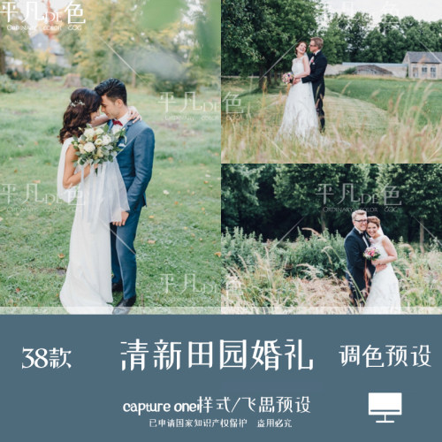 captureone样式 小清新田园婚礼跟拍森系调色滤镜c1飞思预设CO180