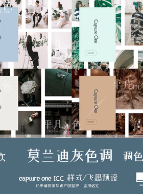 capture one样式莫兰迪多灰色调时尚人像调色滤镜C1飞思预设CO960