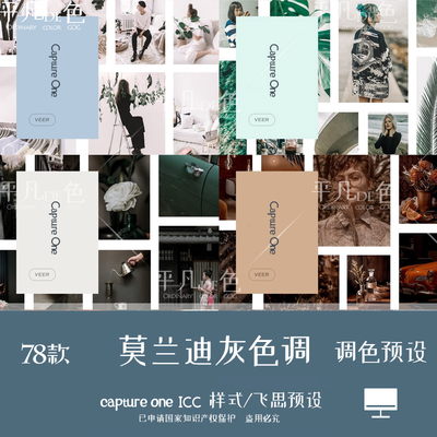 capture one样式莫兰迪多灰色调时尚人像调色滤镜C1飞思预设CO960