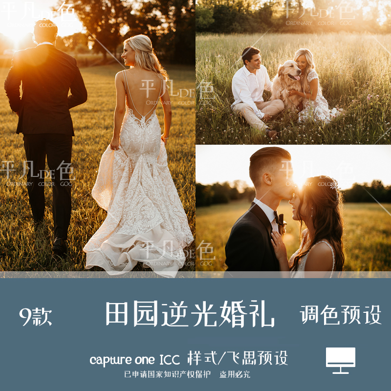 capture one样式 时尚田园逆光复古婚礼调色滤镜C1飞思预设CO829