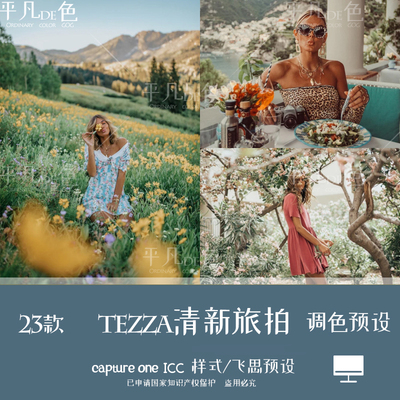 captureone样式tezza博主清新旅拍集调色摄影滤镜C1飞思预设CO784