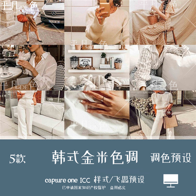 capture one样式 韩式黄金米色人像静物调色滤镜C1飞思预设CO935