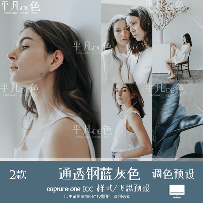 capture one样式低饱和通透柔和胶片人像调色滤镜c1飞思预设CO995