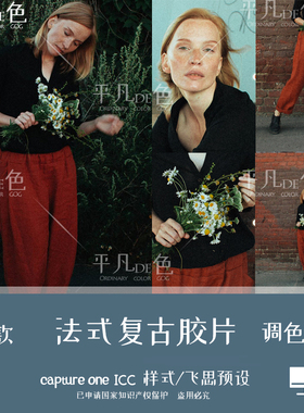 capture one样式法式人像复古胶片莫兰迪调色滤镜C1飞思预设CO776