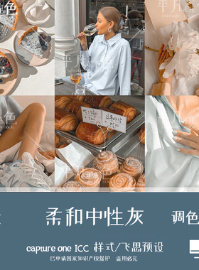 captureone样式柔和中性灰人像静物食物调色滤镜C1飞思预设CO922