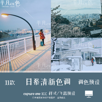 capture one样式 日系清新人文街拍风光调色滤镜C1飞思预设CO858