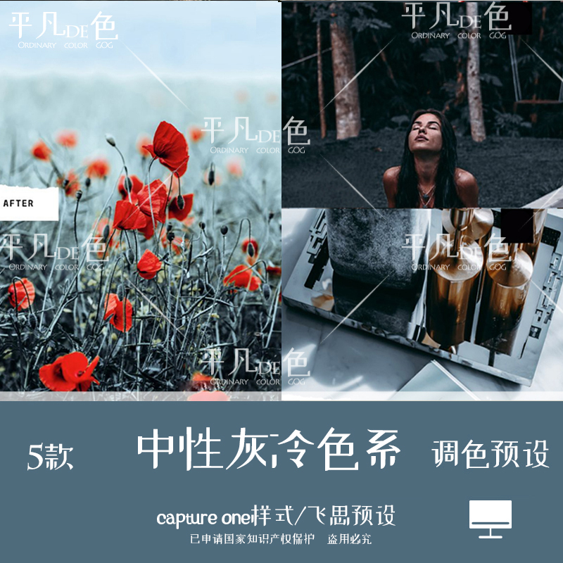 capture one样式 中性灰冷色系人像胶片调色滤镜C1飞思预设CO704