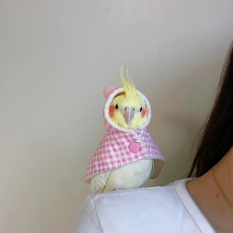 鹦鹉衣服玄风牡丹小太阳斗篷披风鸟衣服加厚保暖外出服宠物鸟用品
