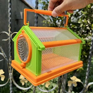 儿童孵蝴蝶笼观察饲养盒可孵化蛹养殖箱养蝈蝈蜻蜓螳螂昆虫网笼子