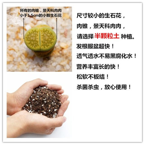 小卷多肉植物营养土颗粒土生石花专用土老桩控型土播种土 - 封面