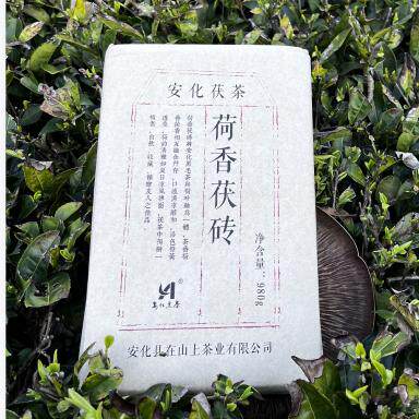 肠道清道夫唤醒肠道活力醇甜柔【荷香茯砖】在山上金花茯茶980g