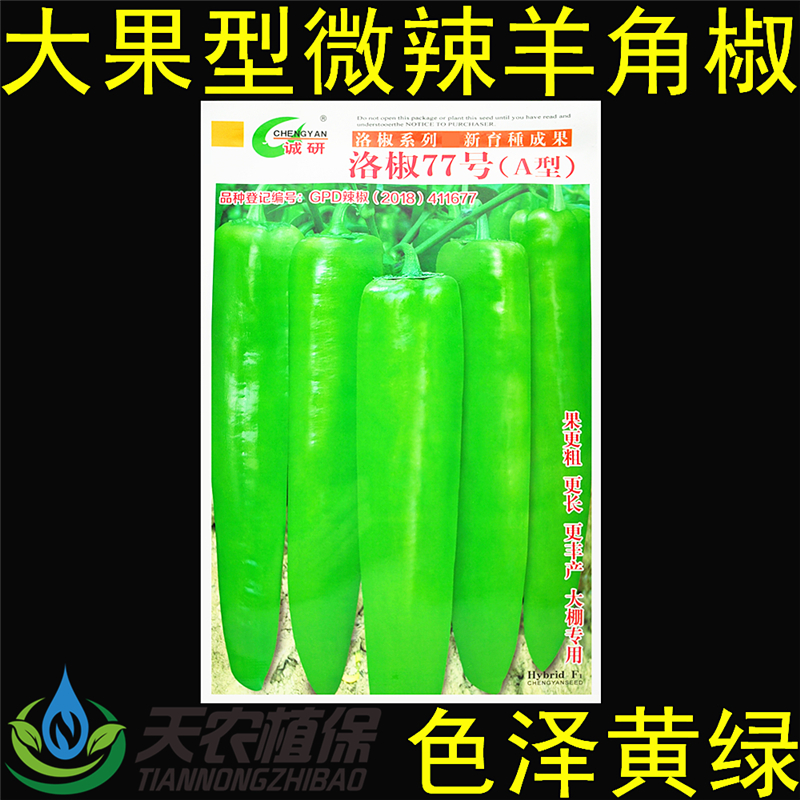 诚研洛椒77号黄皮羊角辣椒种子