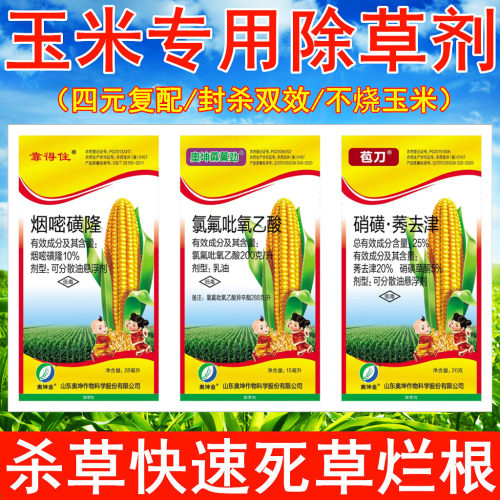 奥坤烟嘧硝磺莠去津玉米地除草剂
