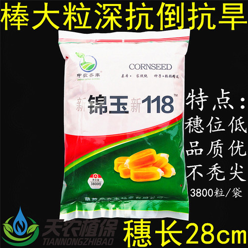 新锦玉118大棒高产杂交玉米种子