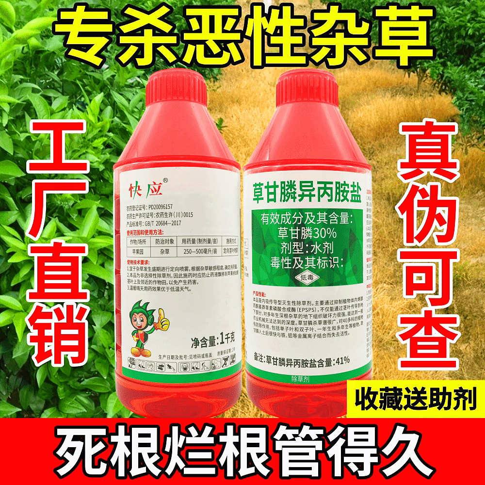 立本快应草甘膦异丙胺盐灭生性除草剂水剂荒地杂草烂根死正品农药