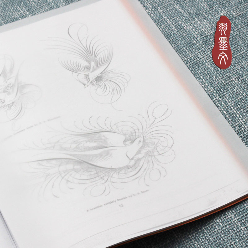 a4透明硫酸纸英文书法花体新手学生85g不洇墨临摹绘画练习纸10张