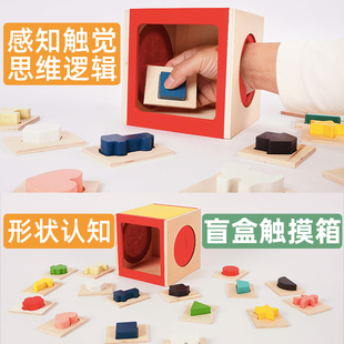 盲盒触摸配对盒积木精细动作训练小班教具儿童感官触觉肌肉木玩具