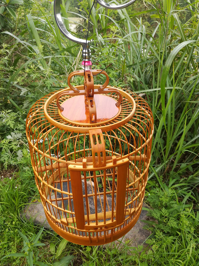 四喜云雀八哥紫贵州凯里老画眉鸟笼川竹精品全套自制小号大手工纯|msdalam kategori haiwan peliharaan/makanan haiwan dan bekalan, Burung dan bekalan, sangkar - dari Buy2taobao.com untuk memberikan perkhidmatan ejen Taobao profesional membeli