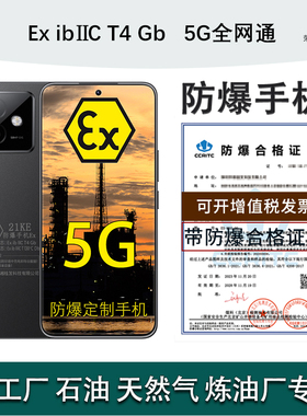 honor/荣耀 X60 GT 5G手机80W快充6300mAh大电池定制防爆NFC本安EXPM工业化工厂石油天然气制药厂21KE 带证书