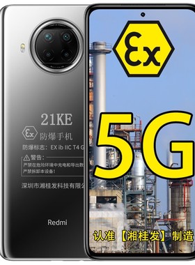 小米红米Redmi Note 9 Pro 5G全网通 1亿像素 防爆智能手机 化工厂矿用本安型防爆 防爆定制版带证书+支持NFC