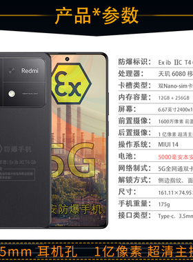 小米MI红米Redmi Note13R 1亿像素超清主摄 5G定制防爆手机 EX工业化工厂医药石油库本安 防爆定制版(带证书)