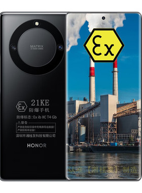 honor/荣耀  X40 5G 5100mAh大电池 本安EX 定制防爆手机 化工厂医药工业专用 防爆定制版（带证书）