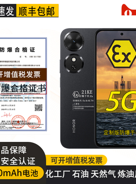 honor/荣耀 Play10C 6000mAh电池 5G 定制防爆手机 EX化工厂天然气石油库医药工业巡察专用 带防爆(合格证书)