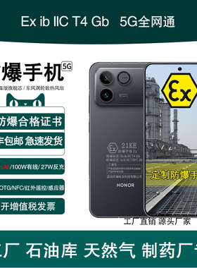 honor/荣耀 WIN RT 10000mAh巨无霸青海湖电池100W 185Hz超高刷 防爆定制版Ex化工厂天然气石油库医药 带证书